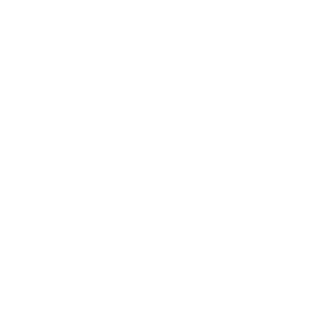 Logo Bersanetti
